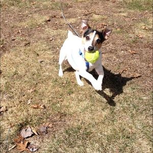 Meet your Posher, Irene